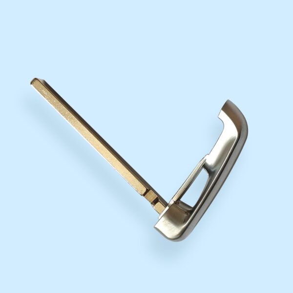 Smart Emergency Key Blade for BMW FEM -  5 pcs